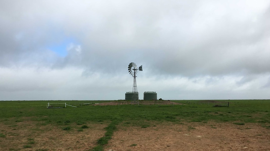 Bores on the Hay Plains will be supplemented by the Gunbar Pipeline