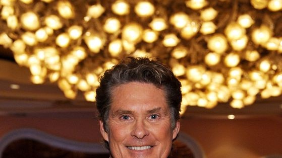 Actor David Hasselhoff at the Beverly Hills Hotel