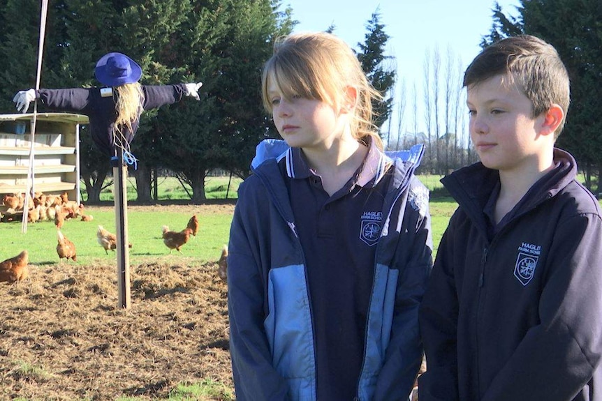 Two primary-schooled aged children in uniforms stand together in a field with chickens and a scarecrow in the background.