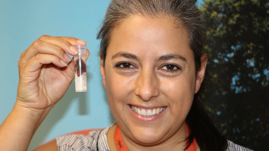 CSIRO Wasp researcher Dr Juanita Rodriguez