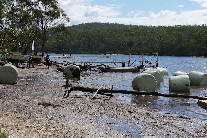 Hay bales washed onto oyster leases on the Pambula River. 