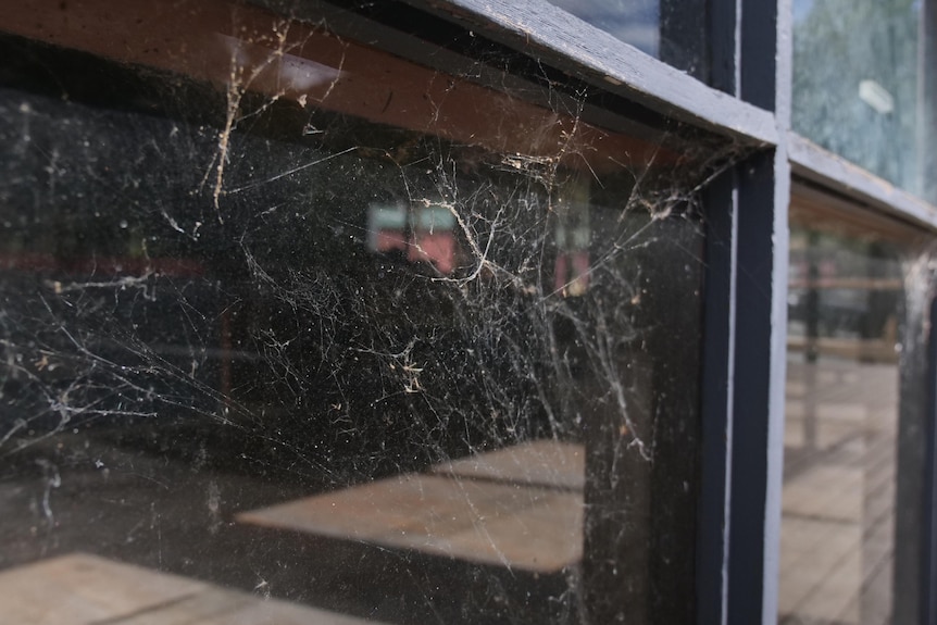 cobwebs on a window.