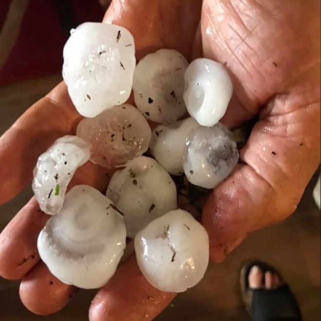 A man's hand holding a bunch of hailstones