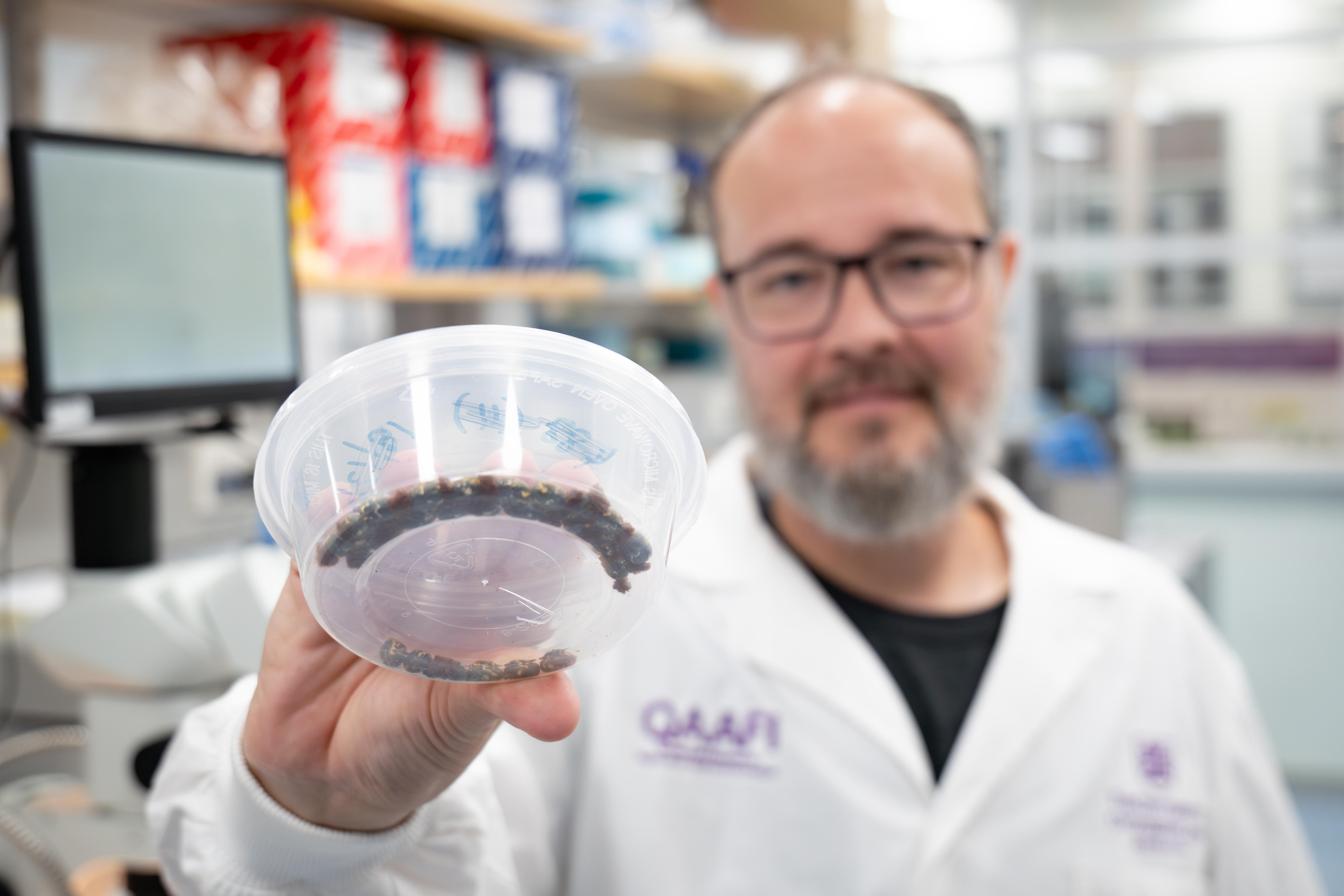 'We want your ticks': Researchers investigate chemical resistance