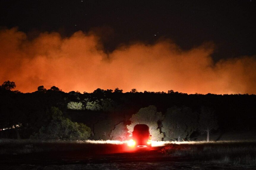 Smoke glowing orange from flames rises above a line of trees at night with a car in the foreground below.