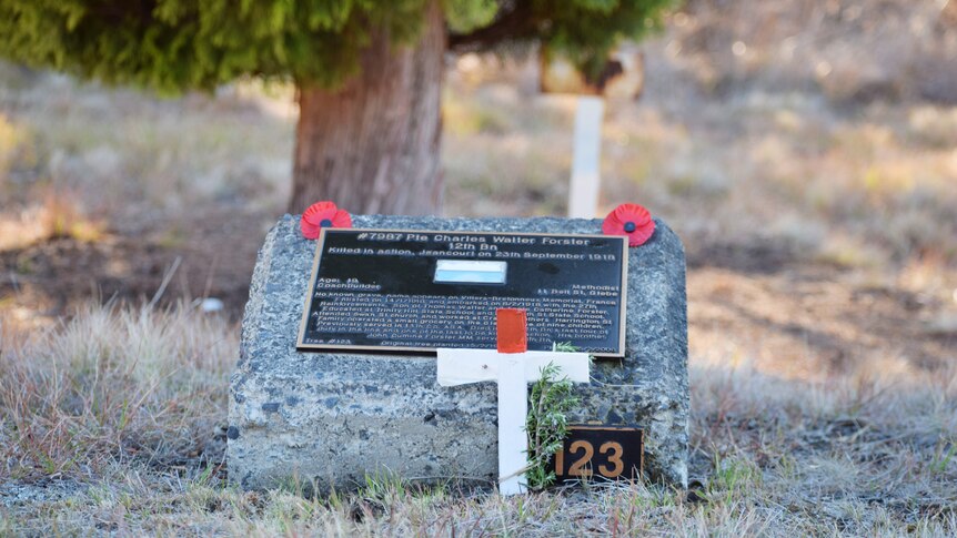 Plaque of fallen soldier with poppies and rosemary