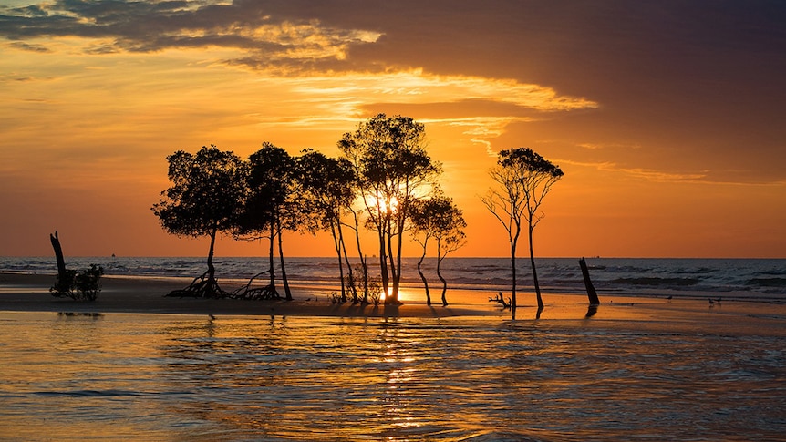 An orange sky over distant mangrove trees on a coastal outcrop