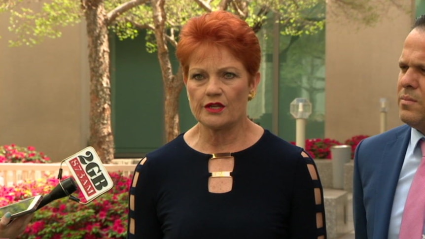 Pauline Hanson says white men most demonised group in Australia.