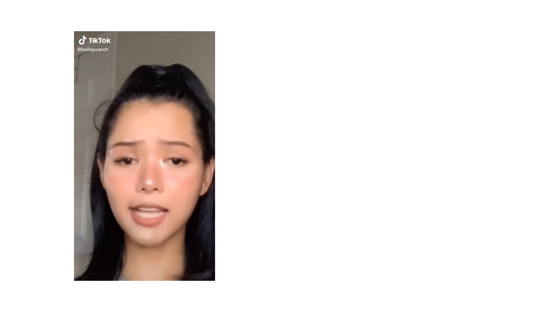 Bella Porch goes viral on TikTok - ABC News