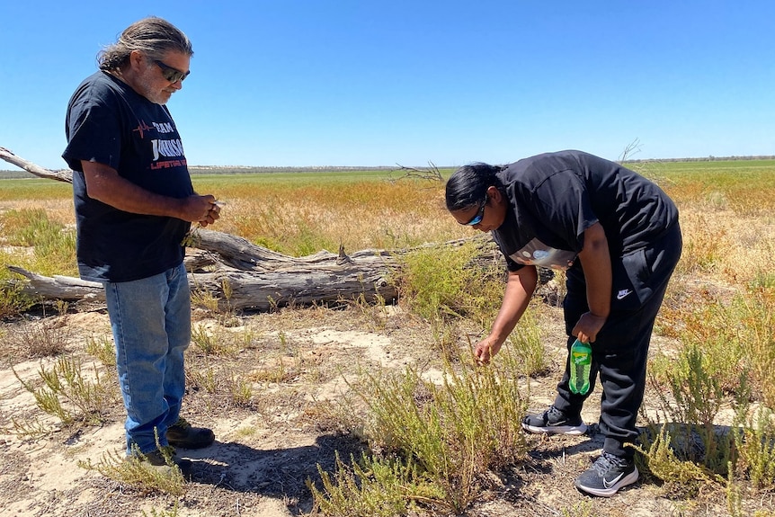 A man and a woman are looking down at some plants on the ground. There's a blue sky and brown and green field behind them.