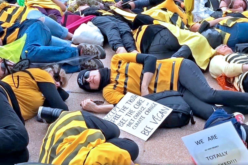 Protesters dressed as bees lie on the ground at Extinction Rebellion.
