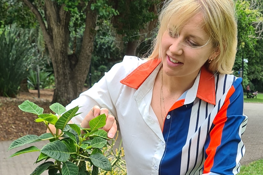 A woman looking at a plant. 