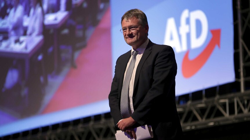 The party's co-chairman Joerg Meuthen speaks at the conference.