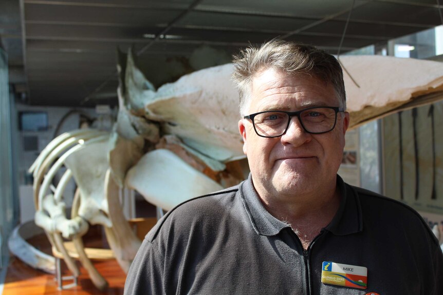 A man wearing glasses faces the camera, standing front of a whale carcass.