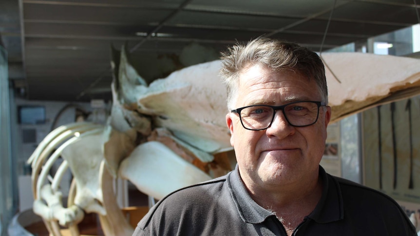 A man wearing glasses faces the camera, standing front of a whale carcass.
