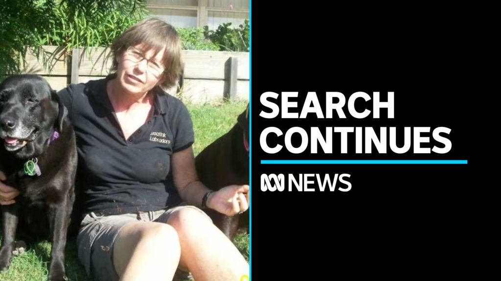 Search continues for missing Gold Coast woman - ABC News