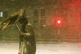 Pedestrian walks through driving snow in Boston
