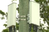 The small cell boxes that have begun popping up in Sydney