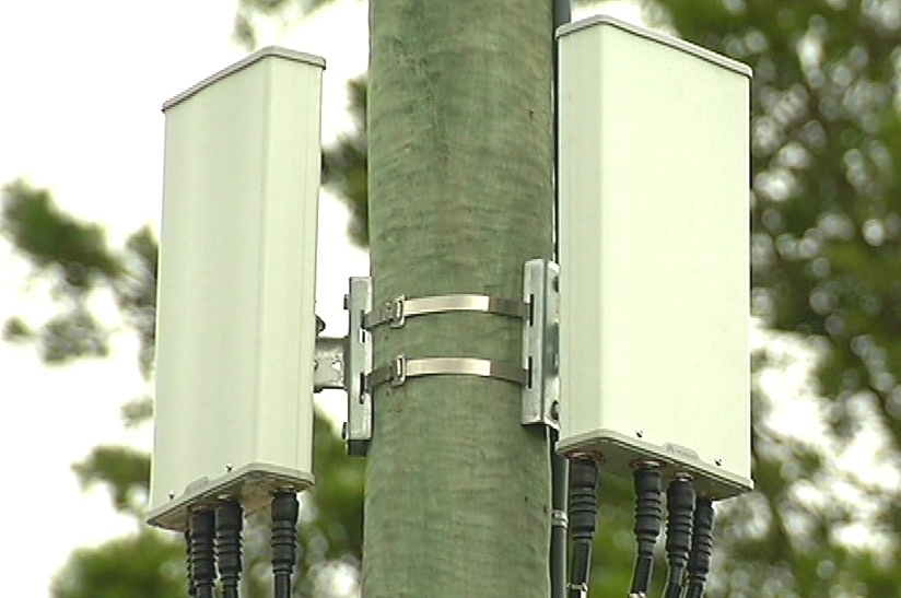 The small cell boxes that have begun popping up in Sydney