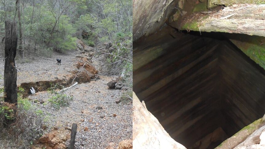 Bushy terrain near Ewingar with close shot of old mine shaft alongside