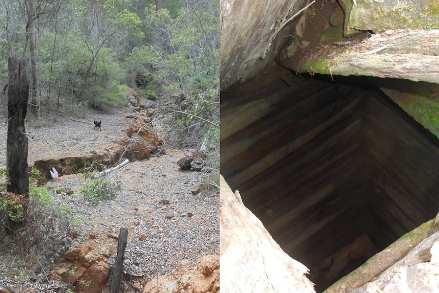 Bushy terrain near Ewingar with close shot of old mine shaft alongside