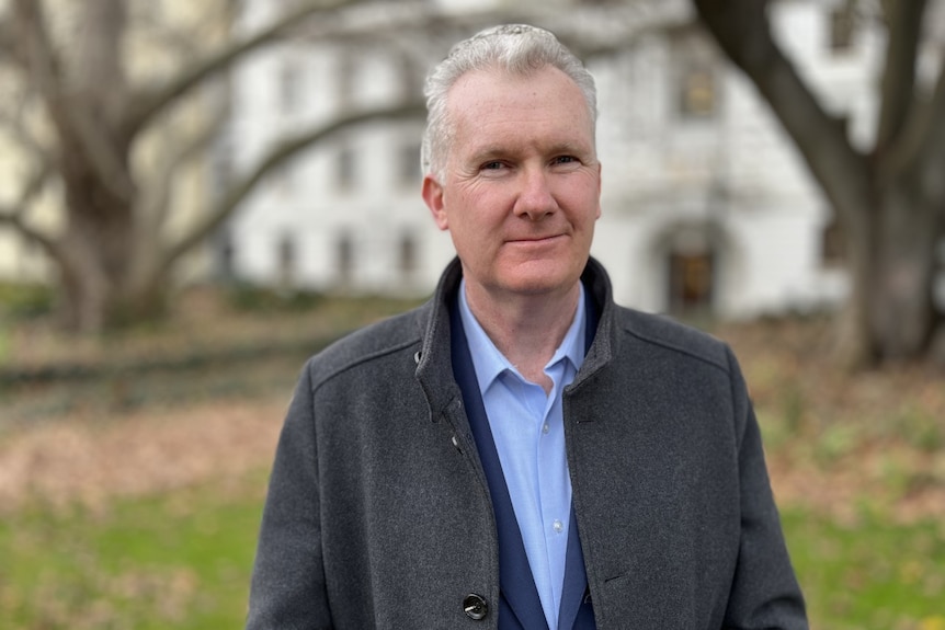 Tony Burke standing on grass looking at the camera