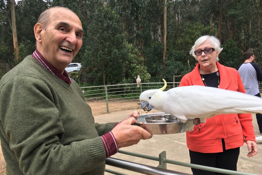 Tas Mihalakopoulos smiles as a cockatoo eats from a tray he is holding.