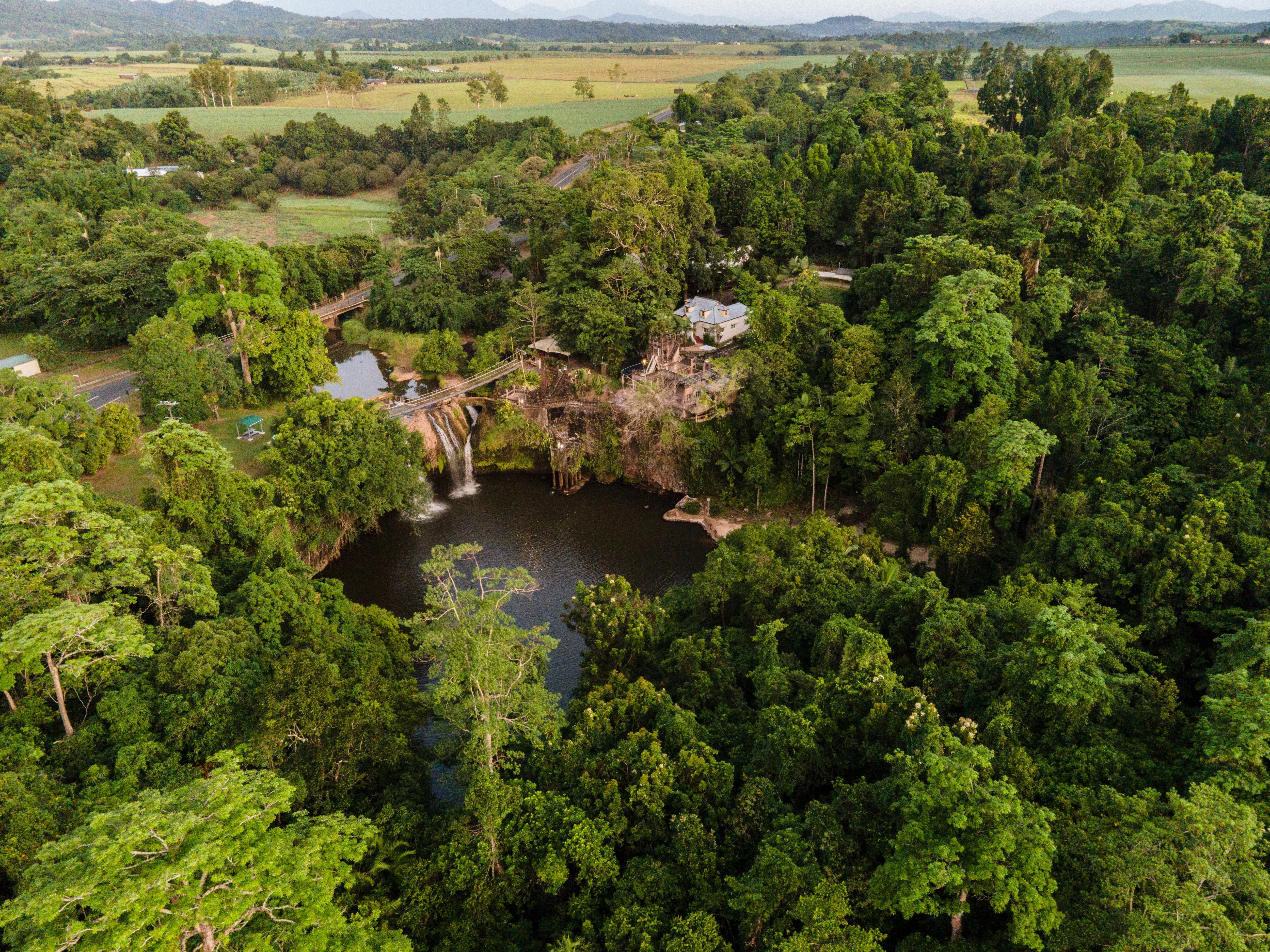 Una toma de un dron de un arroyo dentro de una selva tropical del norte de Queensland.