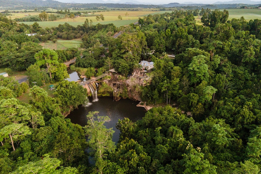 A drone shot of a creek inside a North Queensland rainforest.