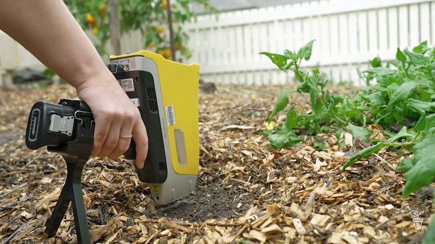 A handheld instrument being used to take measurements on soil in a garden.