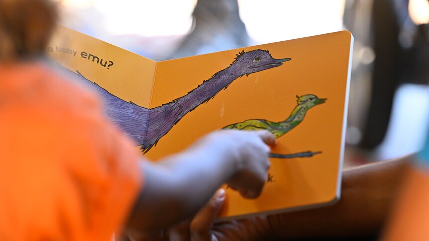 An Aboriginal child reads from a cardboard book that reads "baby emu" with illustrations of emus.