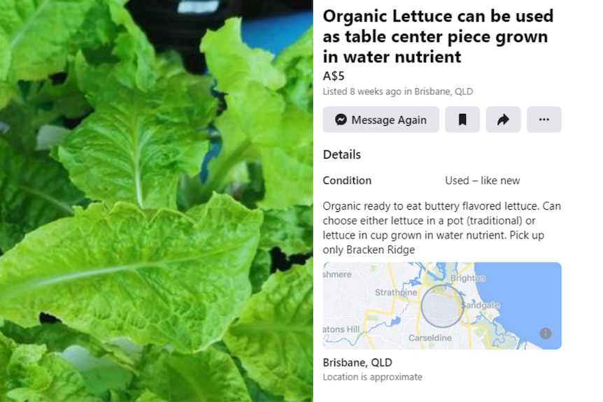 A screenshot of a Facebook Marketplace post selling lettuce
