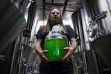Young Henrys co-founder Oscar McMahon holding a jar of algae, standing in front of the large metal fermenters.