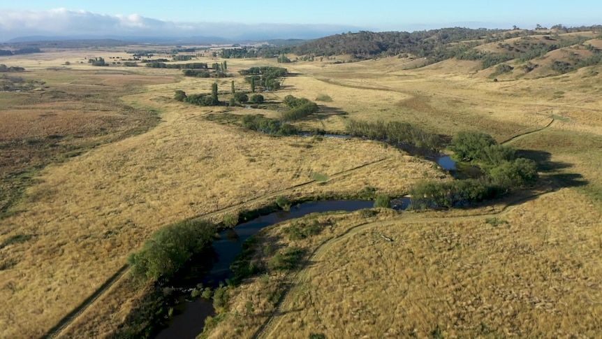 Photo of a small creek running through a property.