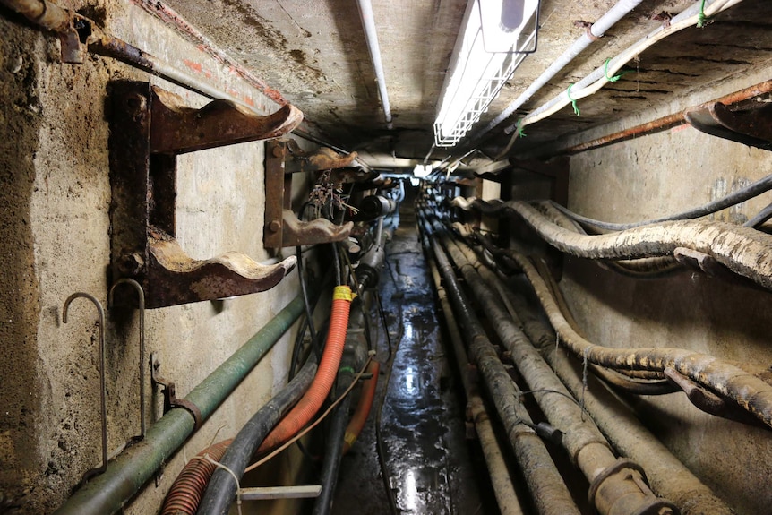 Service pipes line the wall of the tunnel under Old Parliament House.