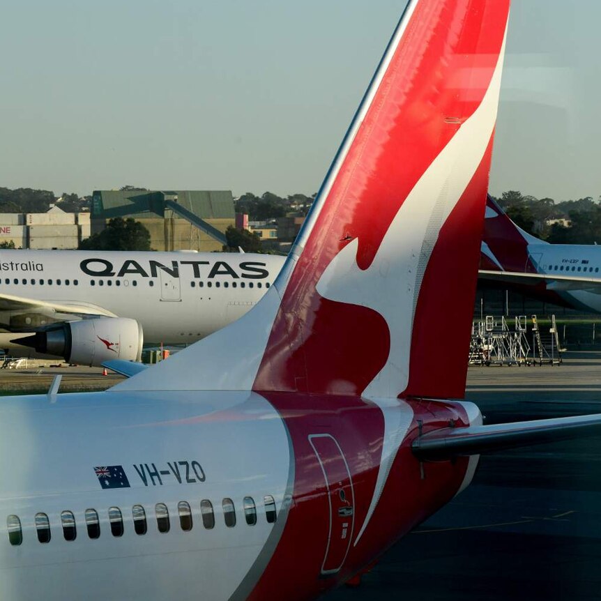 Several planes, all showing the Qantas branding