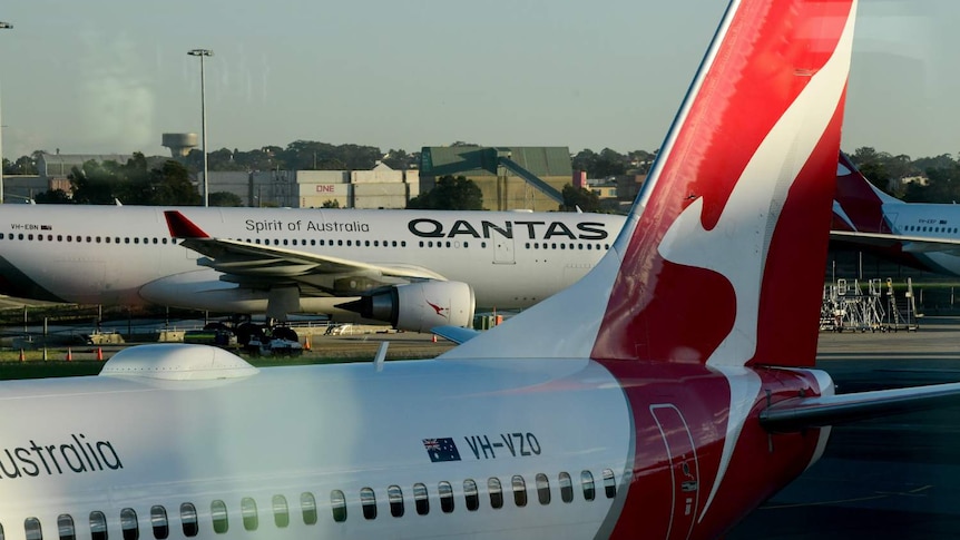 Several planes, all showing the Qantas branding