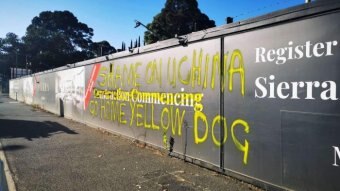 Yellow graffiti at a construction site says "Go home yellow dog".