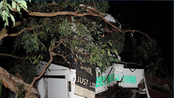 the front of a bus is badly damaged after running off a road, down an embankment and into a tree
