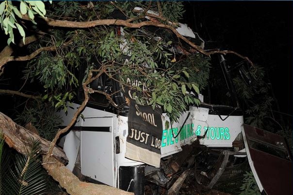 The front of a bus is badly damaged after running off a road, down an embankment and into a tree