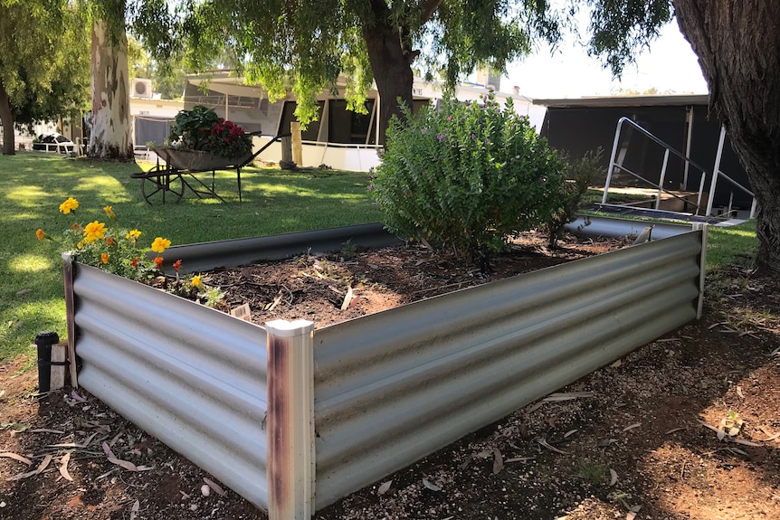 A metal planter box filled with plants that are green and yellow flowers.