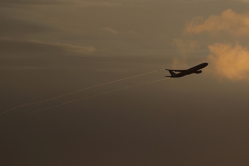 An Air China plane takes off from Sydney Airport