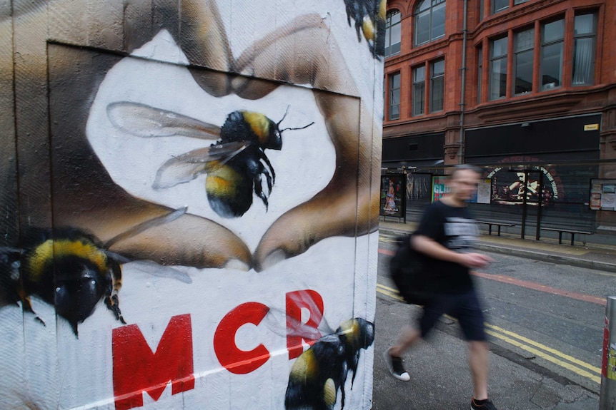 The symbolic worker bee of Manchester graffited on a wall with the letters MCR
