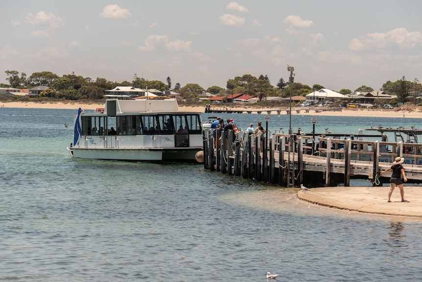 Penguin Island is 600 metres off the coast at Rockingham