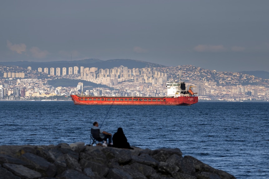 A family sit on a rock in front of a cargo ship anchors in the Marmara Sea.