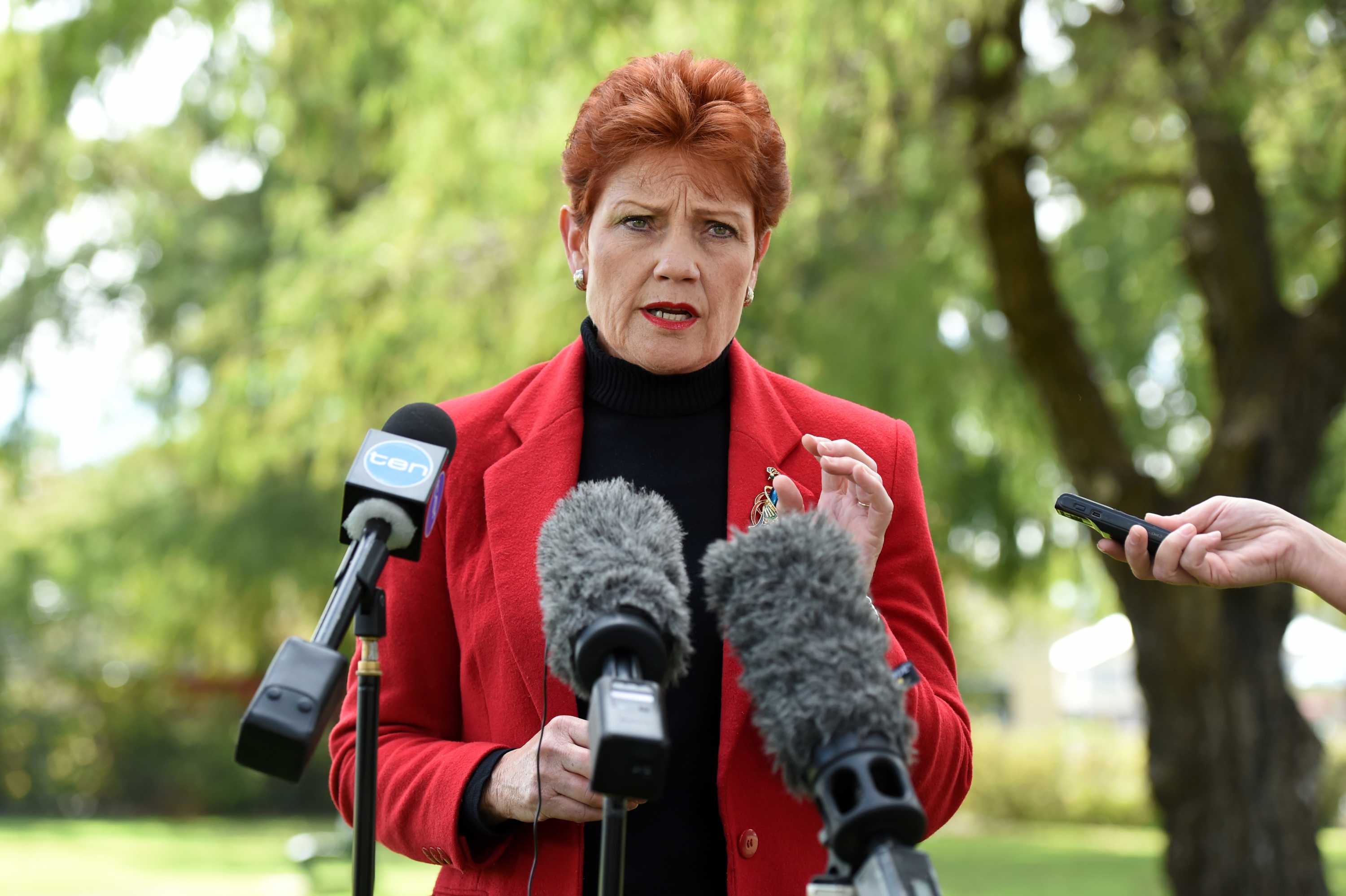 Pauline Hanson: Text Slabs From One Nation Party Policies Lifted From ...