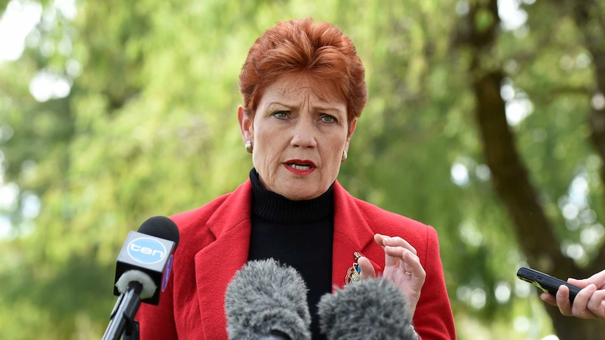 One Nation's Pauline Hanson