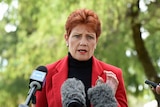 One Nation's Pauline Hanson