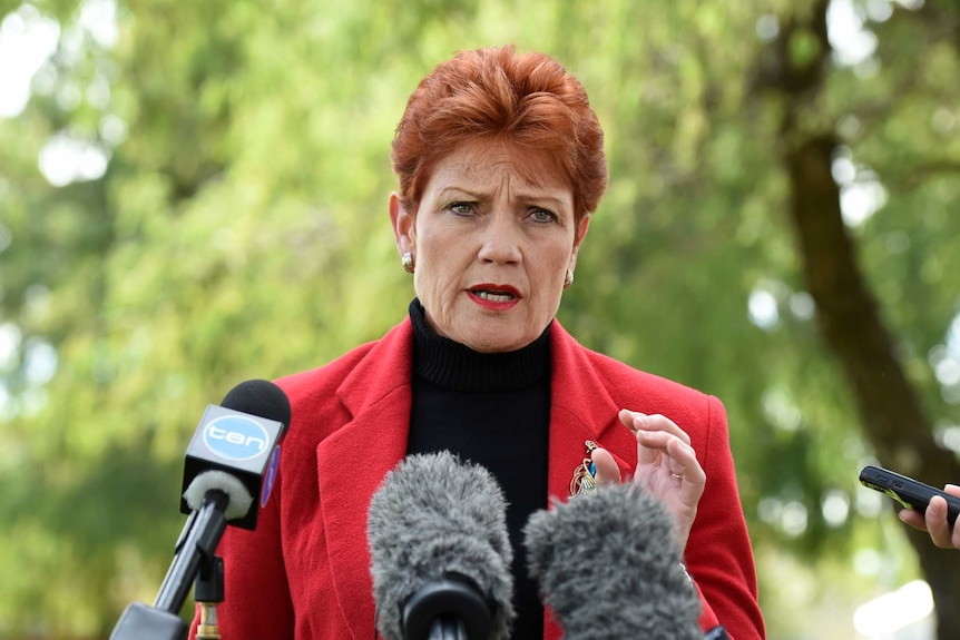 One Nation's Pauline Hanson