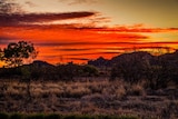A red sunrise over rocky outcrops in Cloncurry.